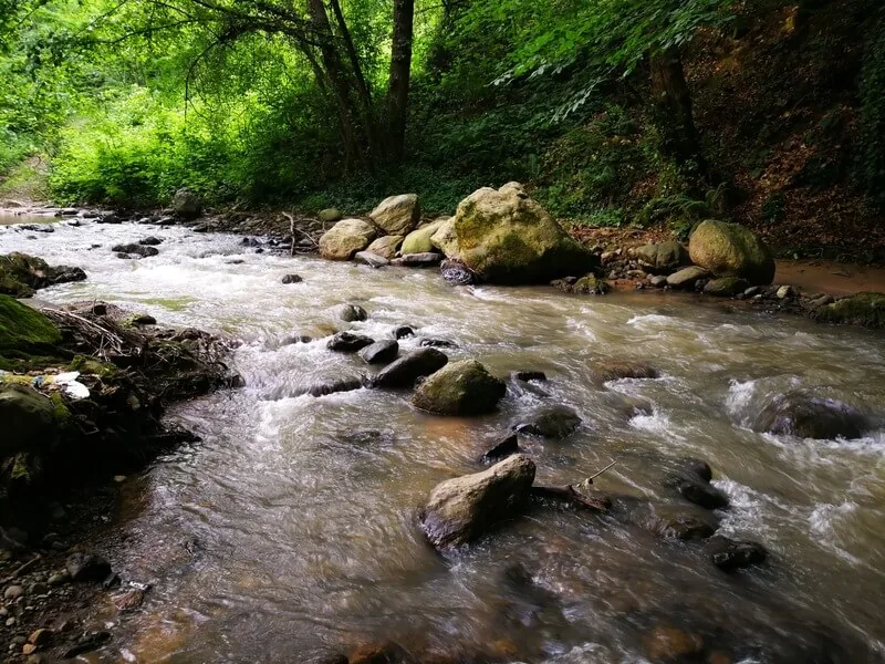Kuzuluk doğası
